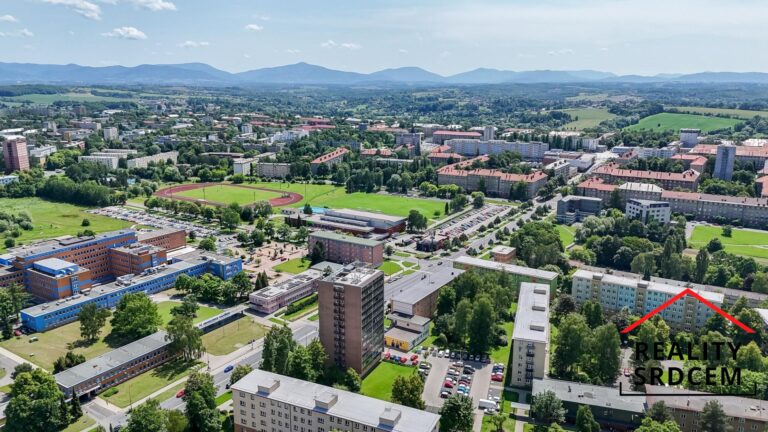 mikita-roman-realitni-makler-havirov-prodej-byt