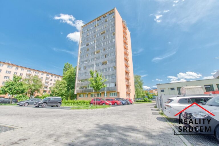 mikita-roman-realitni-makler-havirov-prodej-byt