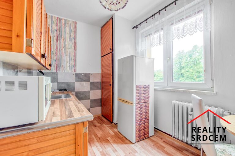 mikita-roman-realitni-makler-karvina-raj-prodej-byt