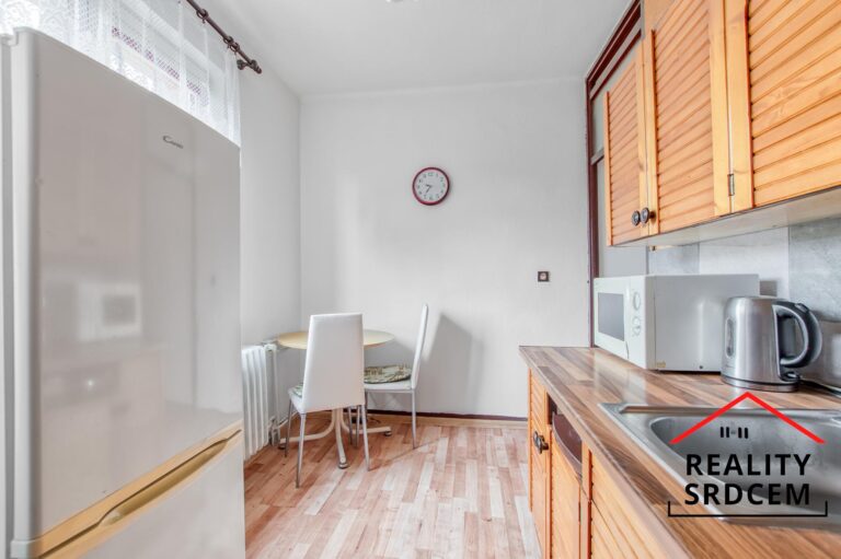 mikita-roman-realitni-makler-karvina-raj-prodej-byt