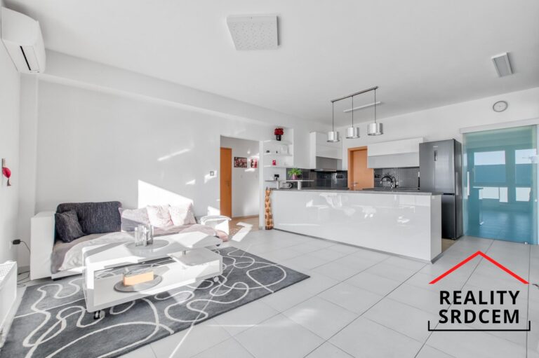 mikita-roman-realitni-makler-frydek-mistek-prodej-byt