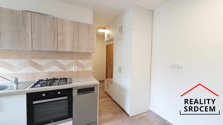 mikita-roman-realitni-makler-frydek-mistek-pronajem-byt