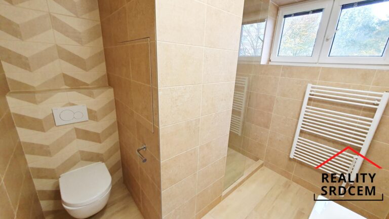 mikita-roman-realitni-makler-frydek-mistek-pronajem-byt