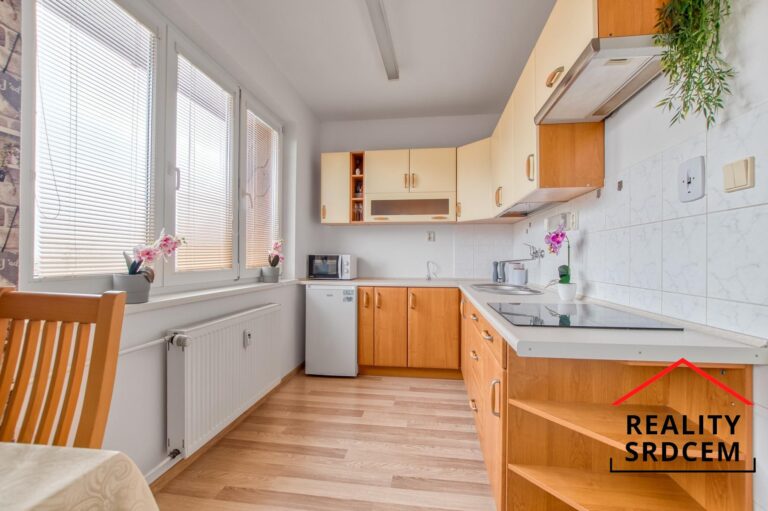 Michal-Lesnak-realitni-makler-pronajem-prodej-nemovitosti-sprava-najmu-realitni-kancelar-delame-real