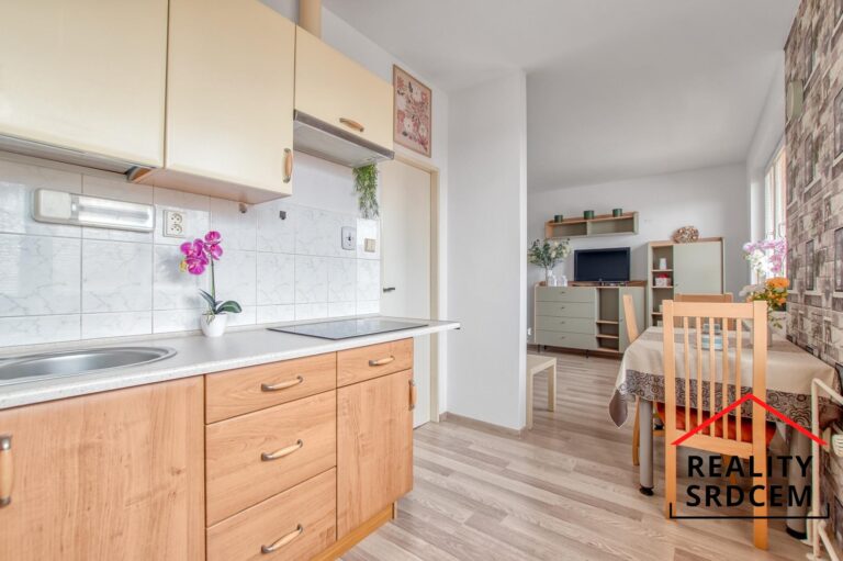 Michal-Lesnak-realitni-makler-pronajem-prodej-nemovitosti-sprava-najmu-realitni-kancelar-delame-real