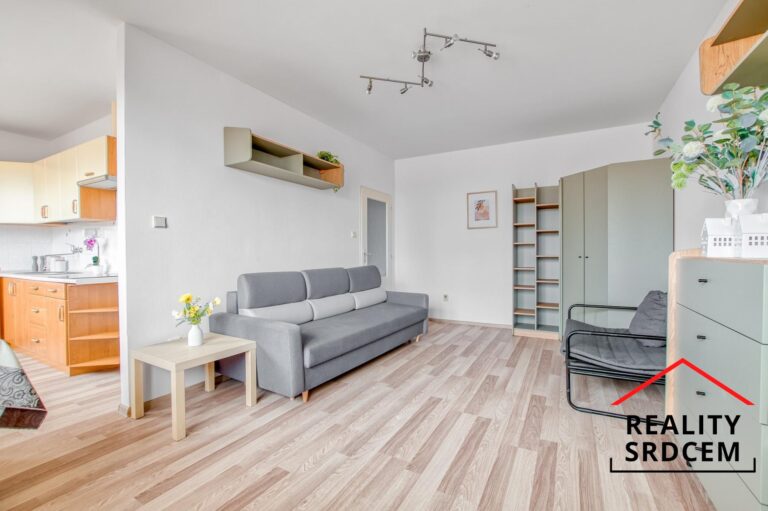 Michal-Lesnak-realitni-makler-pronajem-prodej-nemovitosti-sprava-najmu-realitni-kancelar-delame-real