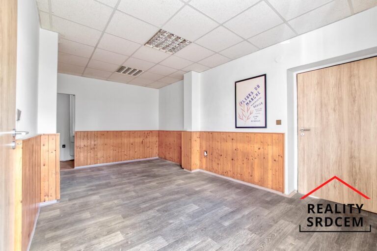 Michal-Lesnak-realitni-makler-pronajem-prodej-nemovitosti-sprava-najmu-realitni-kancelar-delame-real