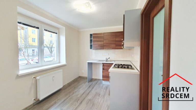 mikita-roman-realitni-makler-frydek-mistek-pronajem-byt