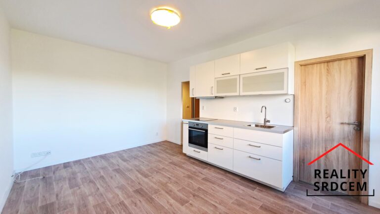 mikita-roman-realitni-makler-novy-jicin-pronajem-byt