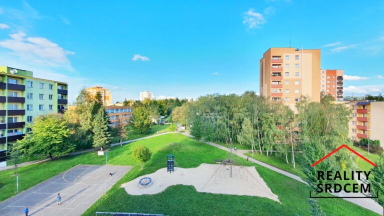 mikita-roman-realitni-makler-novy-jicin-pronajem-byt