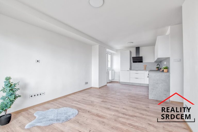 pronajem-bytu-Karvina-realitni-makler-Nela-Lesnakova-Matuskova-10.jpg