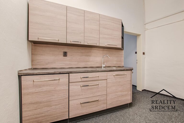 Michal-Lesnak-realitni-makler-Ostrava-Karvina-Havirov-Opava-Frydek-Mistek-flexi-reality-realitni-kan