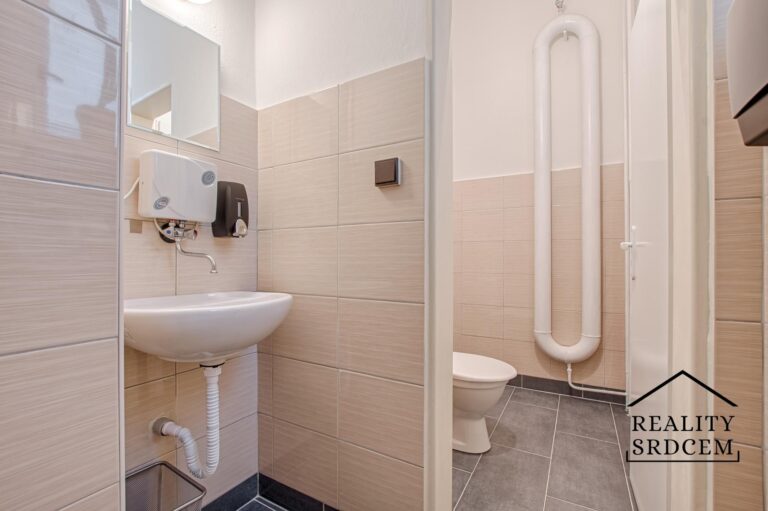 Michal-Lesnak-realitni-makler-Ostrava-Karvina-Havirov-Opava-Frydek-Mistek-flexi-reality-realitni-kan