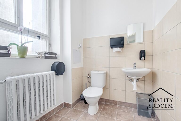 Michal-Lesnak-realitni-makler-Ostrava-Karvina-Havirov-Opava-Frydek-Mistek-flexi-reality-realitni-kan