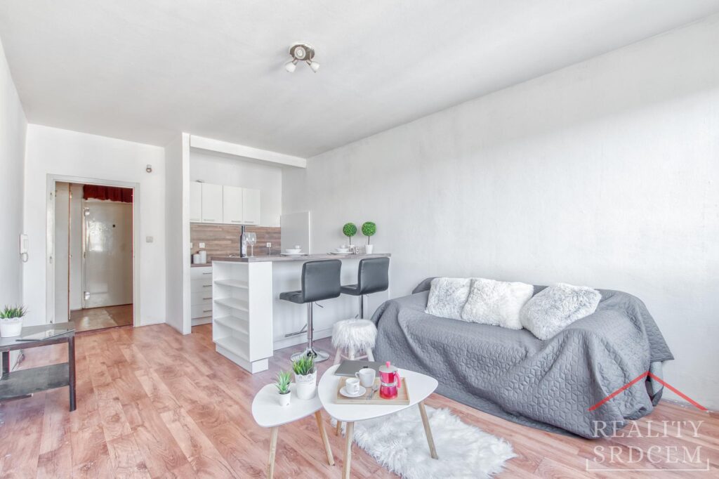 Michal-Lesnak-realitni-makler-Ostrava-Realitni-kancelar-karvina-Reality-Frydek-Mistek-Rekonstru