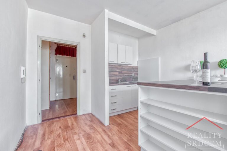 Michal-Lesnak-realitni-makler-Ostrava-Realitni-kancelar-karvina-Reality-Frydek-Mistek-Rekonstru