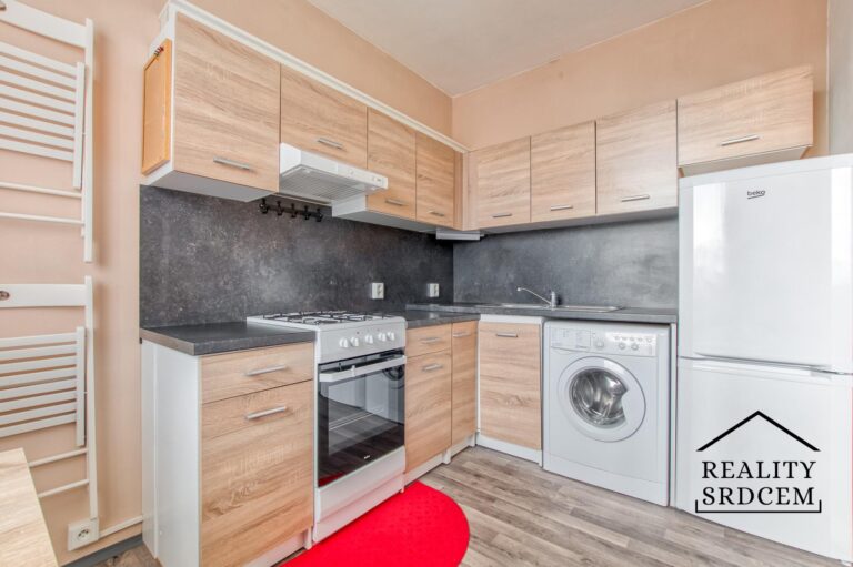 Michal-Lesk-realitn-makl-Ostrava-realitn-kancelar-Karvin-reality-frdek-mstek-rekonstrukce-H