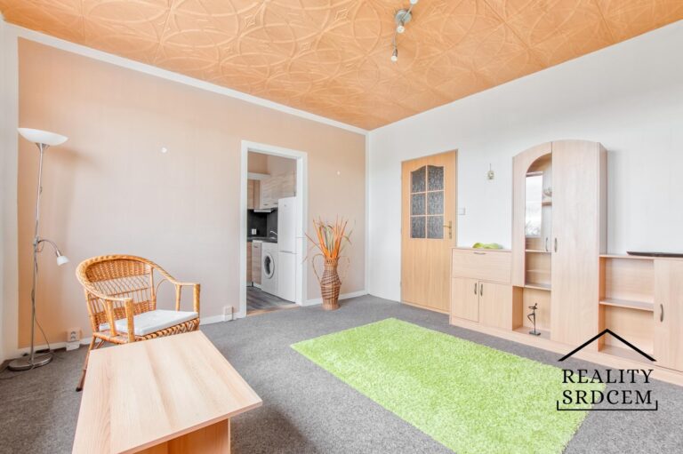 Michal-Lesk-realitn-makl-Ostrava-realitn-kancelar-Karvin-reality-frdek-mstek-rekonstrukce-H