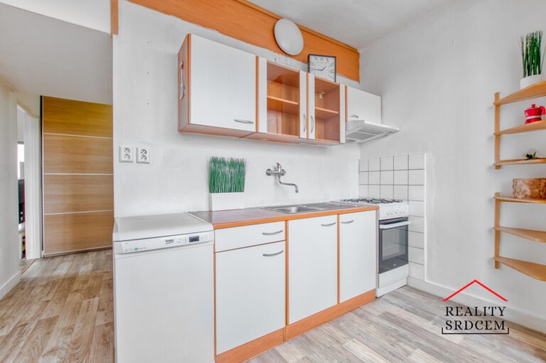 Michal-Lesnak-realitn-makl-Ostrava-realitn-kancel-Karvin-reality-Havov-rekonstrukce-Frdek