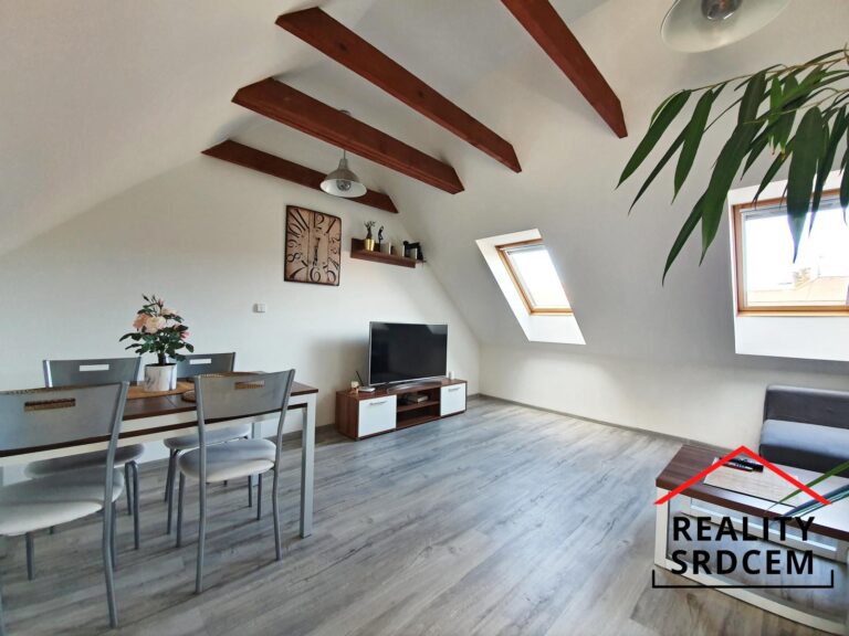 Michal-Lesnak-pronajem-bytu-Frydek-Mistek-realitni-makler-realitni-kancelar-Delame-reality-srdcem-1