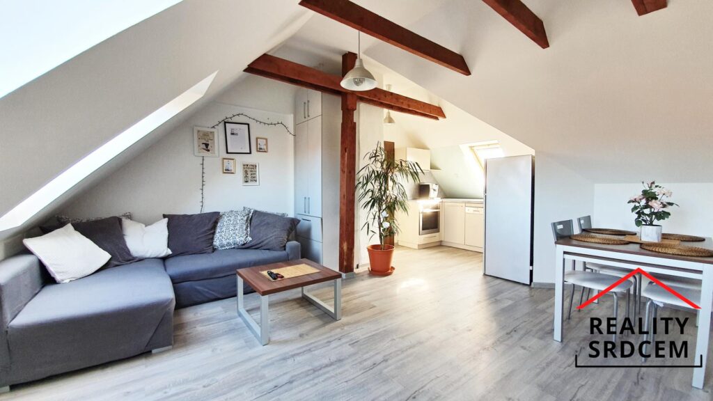 Michal-Lesnak-pronajem-bytu-Frydek-Mistek-realitni-makler-realitni-kancelar-Delame-reality-srdcem-2