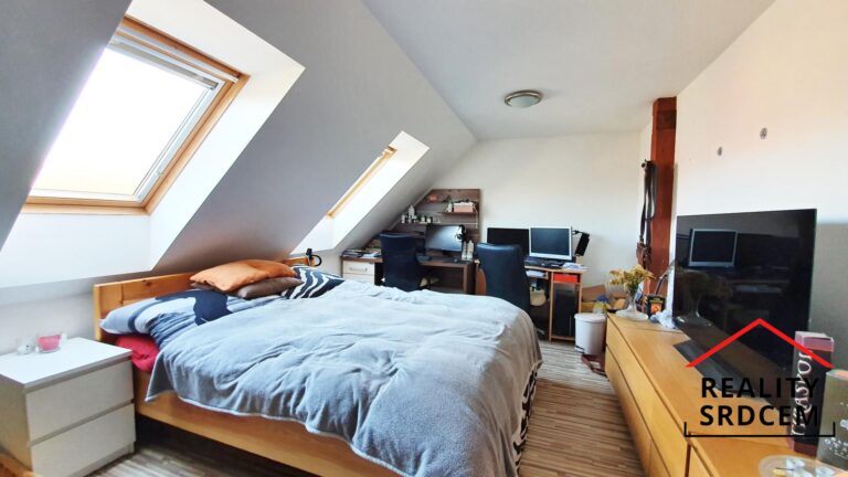 Michal-Lesnak-pronajem-bytu-Frydek-Mistek-realitni-makler-realitni-kancelar-Delame-reality-srdcem-1