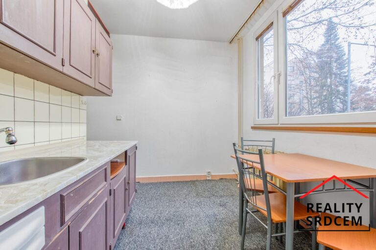 mikita-roman-realitni-makler-frydek-mistek-pronajem-byt-21