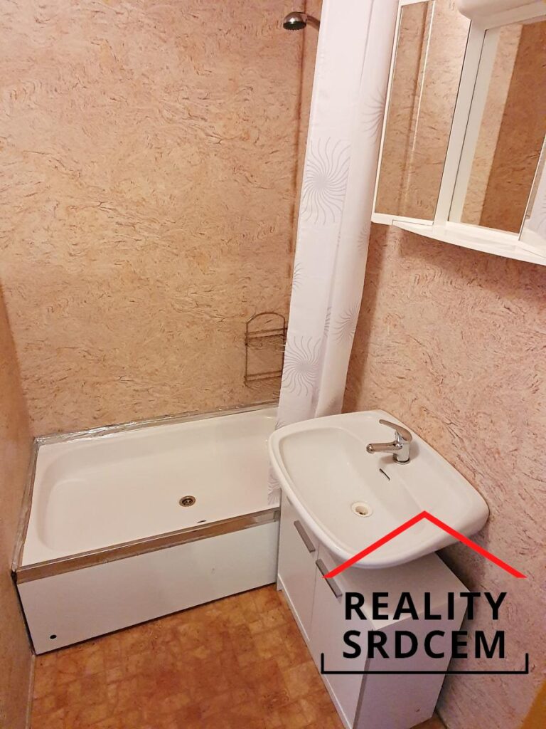 mikita-roman-realitni-makler-frydek-mistek-pronajem-byt-11