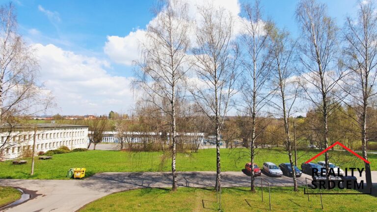 mikita-roman-realitni-makler-frydek-mistek-pronajem-byt-11