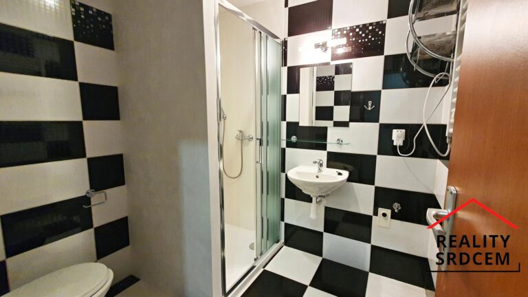 mikita-roman-realitni-makler-frydek-mistek-podnajem-byt-podkrovni-2kk