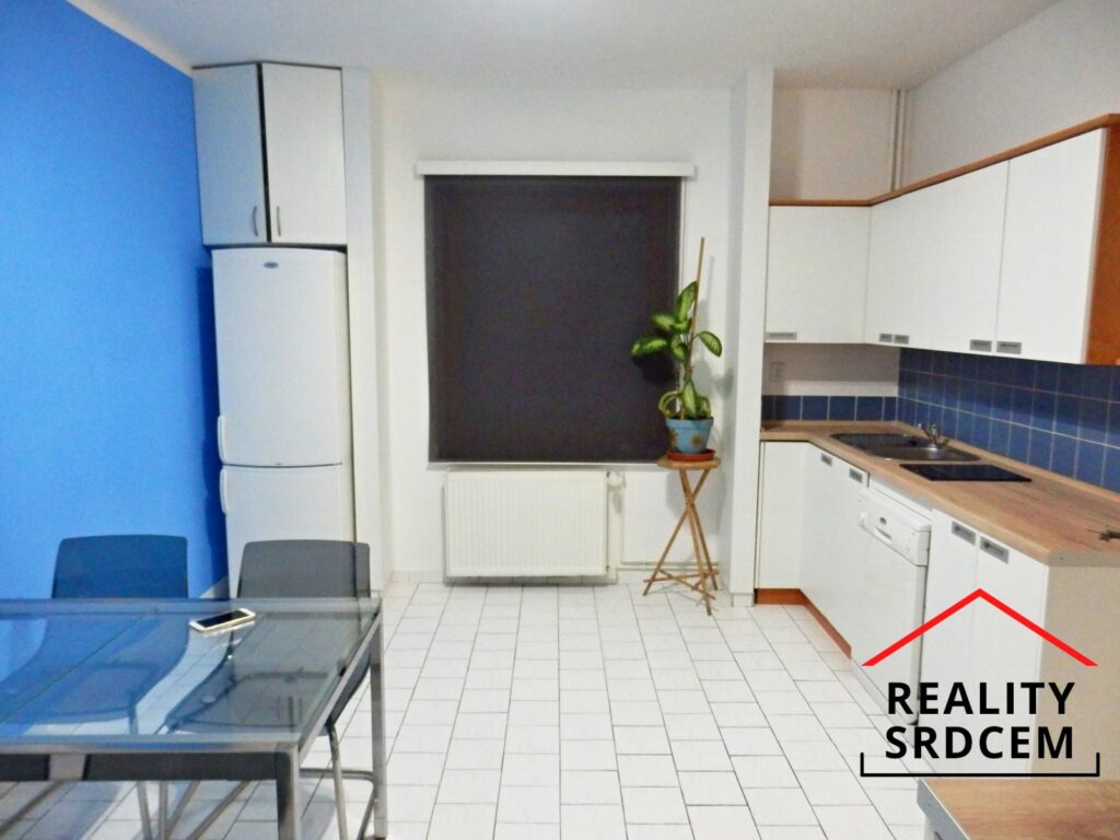 mikita-roman-realitni-makler-frydek-mistek-pronajem-byt-11