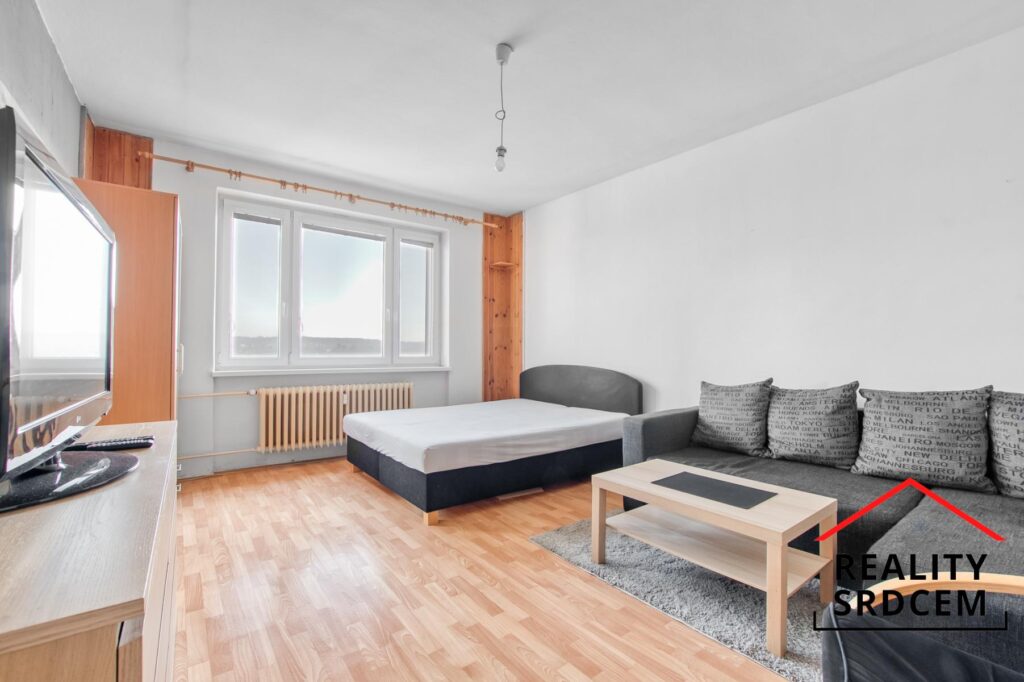 mikita-roman-realitni-makler-frydek-mistek-pronajem-byt-11