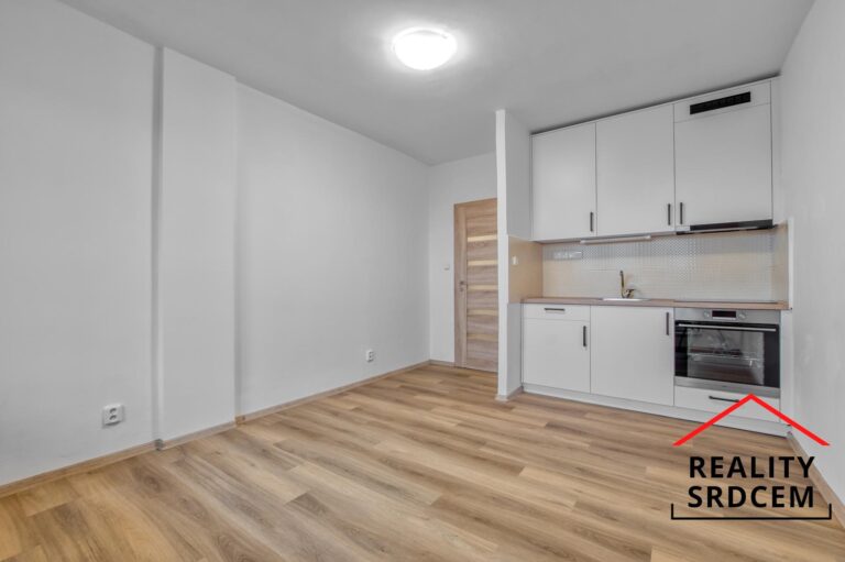 mikita-roman-realitni-makler-cesky-tesin-podnajem-byt