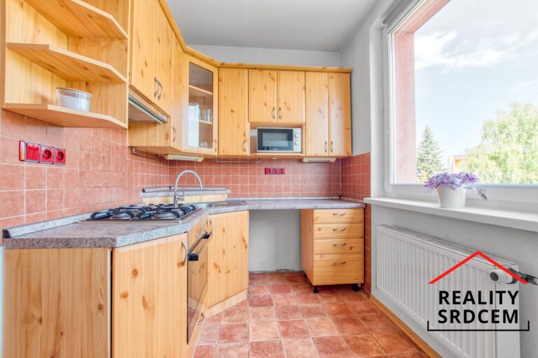 mikita-roman-realitni-makler-frydek-mistek-pronajem-byt