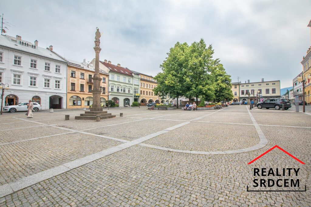 mikita-roman-realitni-makler-frenstat-pod-radhostem-pronajem-komercni-prostory