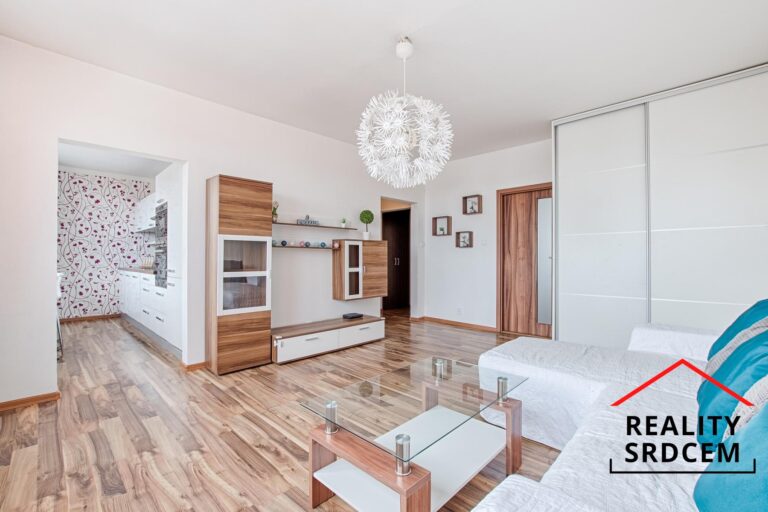 Michal-Lesnak-realitni-makler-Ostrava-realitni-kancelar-Karvina-reality-Havirov-rekonstrukce-Frydek