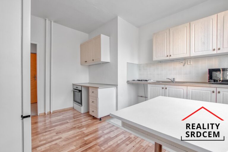 mikita-roman-realitni-makler-frydek-mistek-pronajem-byt