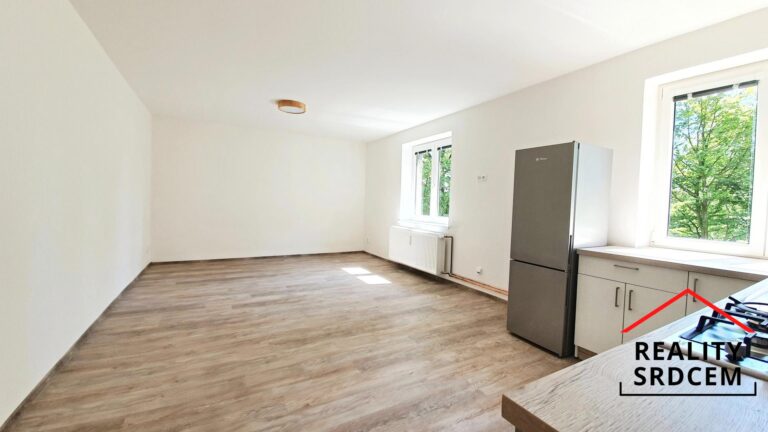 mikita-roman-realitni-makler-frydek-mistek-pronajem-byt