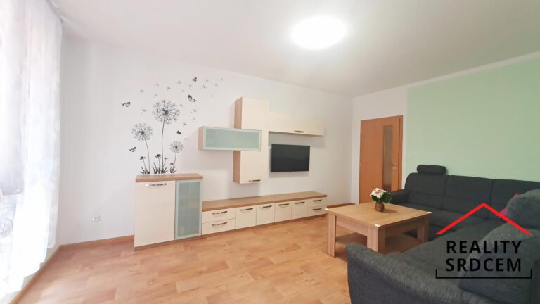 mikita-roman-realitni-makler-frydek-mistek-pronajem-byt