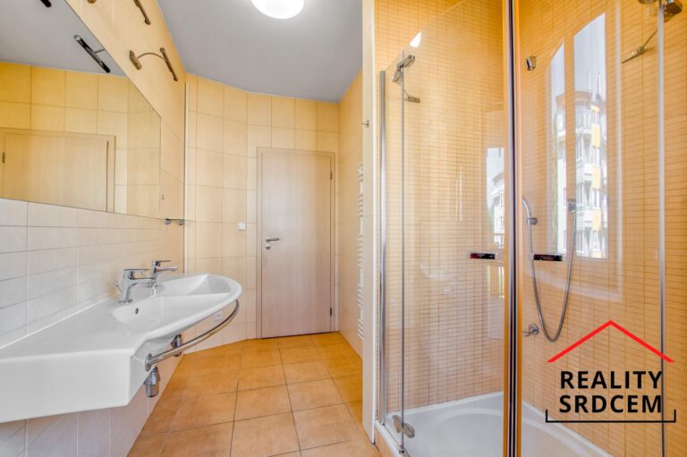 mikita-roman-realitni-makler-frydek-mistek-pronajem-byt-novostavba