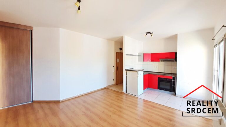 mikita-roman-realitni-makler-frydek-mistek-pronajem-byt