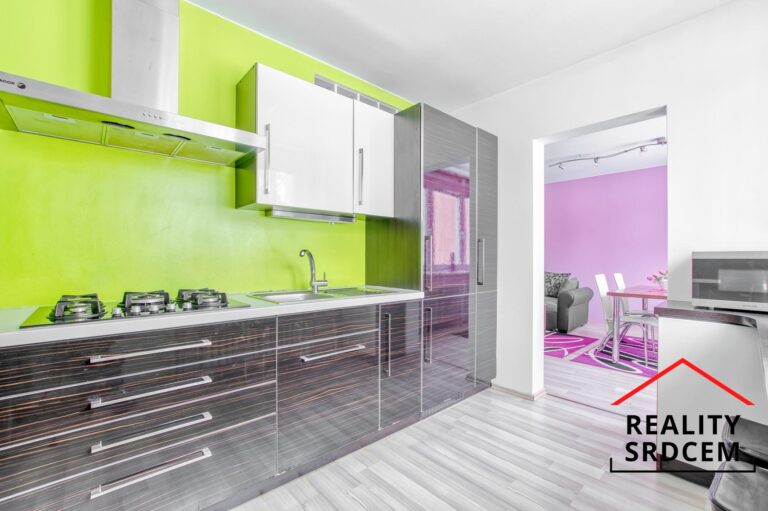 mikita-roman-realitni-makler-novy-jicin-pronajem-byt