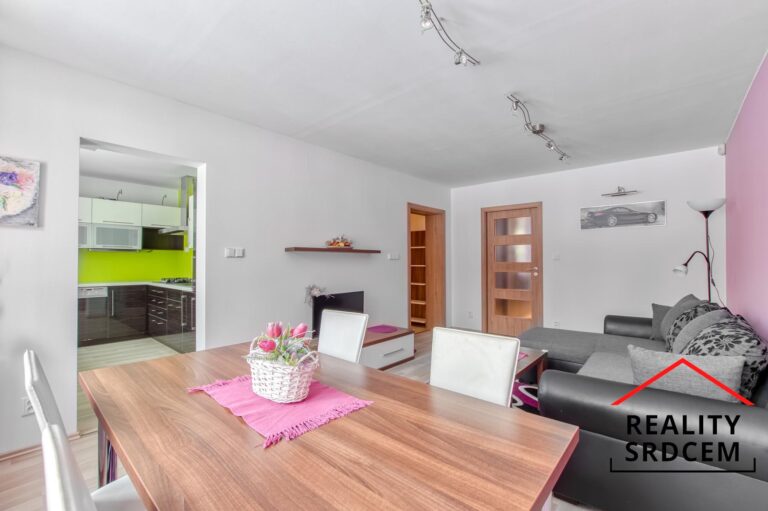 mikita-roman-realitni-makler-novy-jicin-pronajem-byt