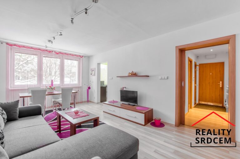 mikita-roman-realitni-makler-novy-jicin-pronajem-byt