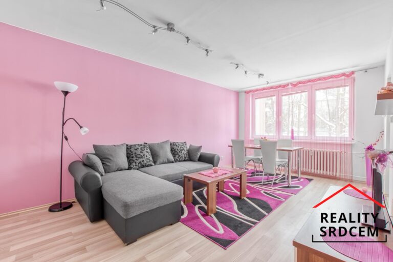 mikita-roman-realitni-makler-novy-jicin-pronajem-byt