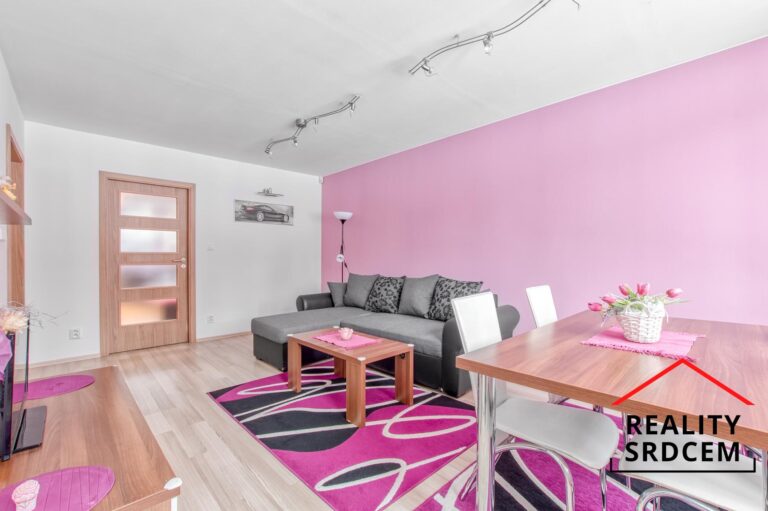 mikita-roman-realitni-makler-novy-jicin-pronajem-byt