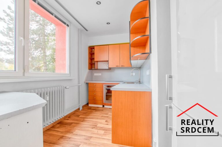 Michal-Lesnak-profesionalni-realitni-makler-Ostrava-karvina-frydek-mistek-Havirov-Opava-prodej-prona