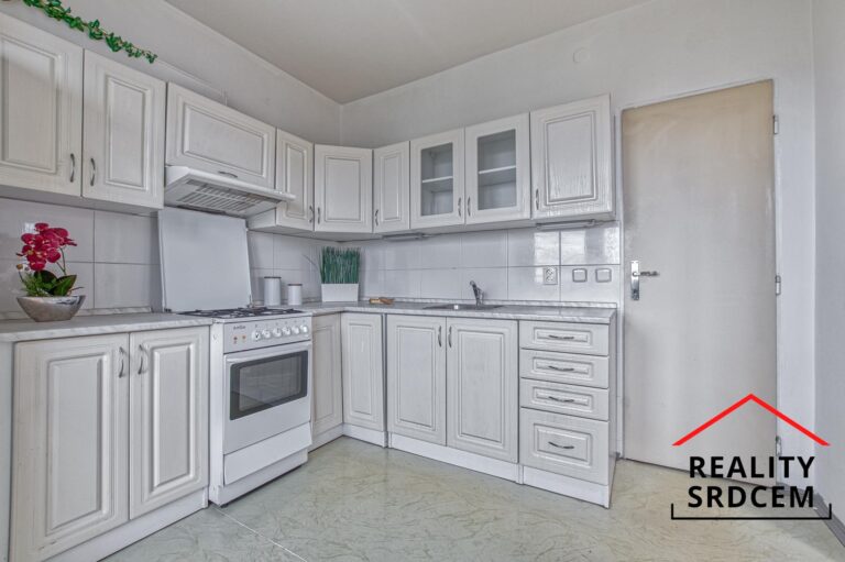 Michal-Lesk-profesionln-realitn-makl-prodej-bytu-ostrava-pronjem-nemovitosti-realitn-kancel