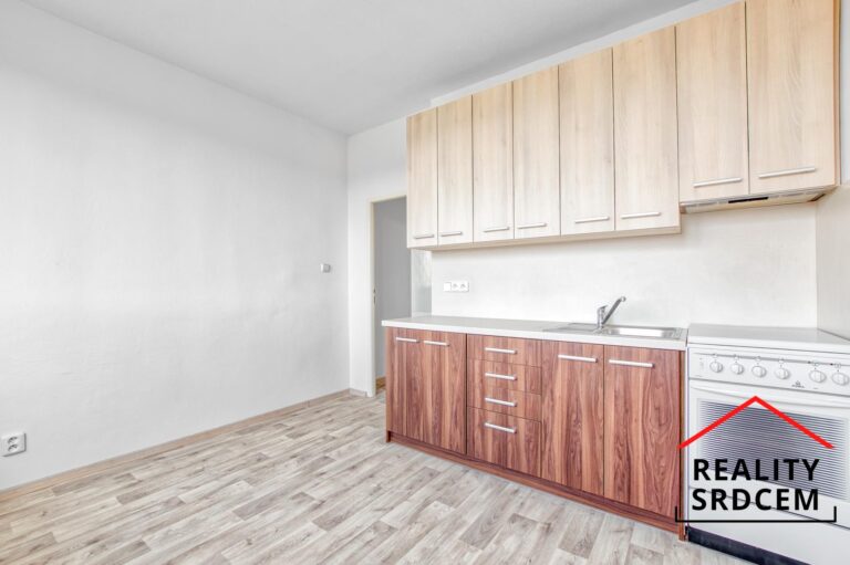 mikita-roman-realitni-makler-karvina-podnajem-byt