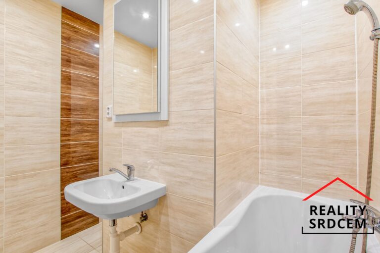 mikita-roman-realitni-makler-karvina-podnajem-byt